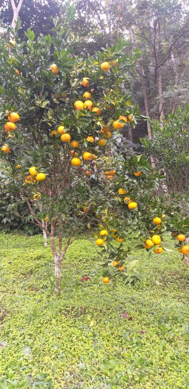 Fazenda Piloes Villa Petrópolis Eksteriør bilde