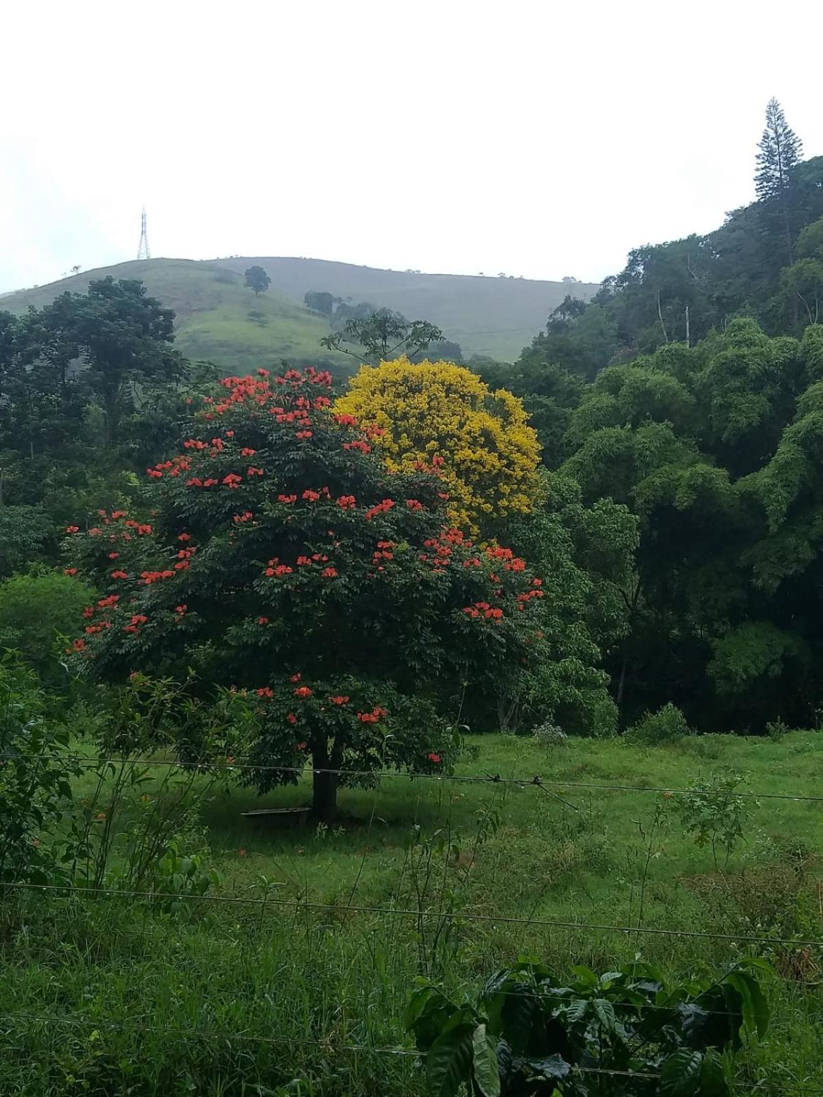 Fazenda Piloes Villa Petrópolis Eksteriør bilde
