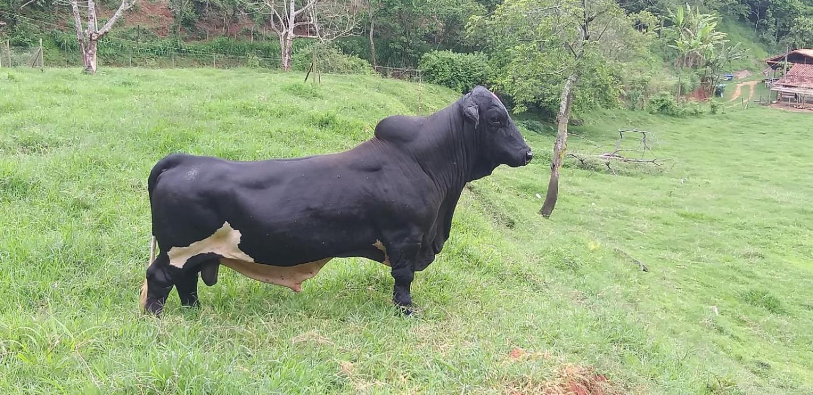 Fazenda Piloes Villa Petrópolis Eksteriør bilde