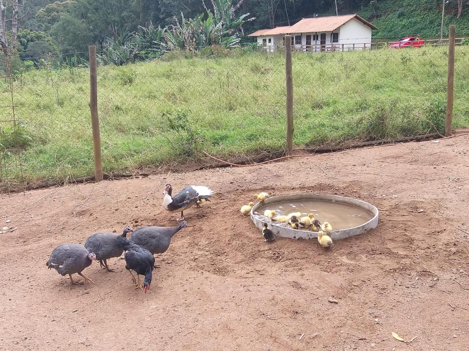 Fazenda Piloes Villa Petrópolis Eksteriør bilde